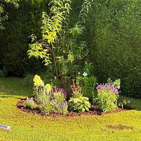 Ferienwohnung Bliestalglueck Oberthal المظهر الخارجي الصورة