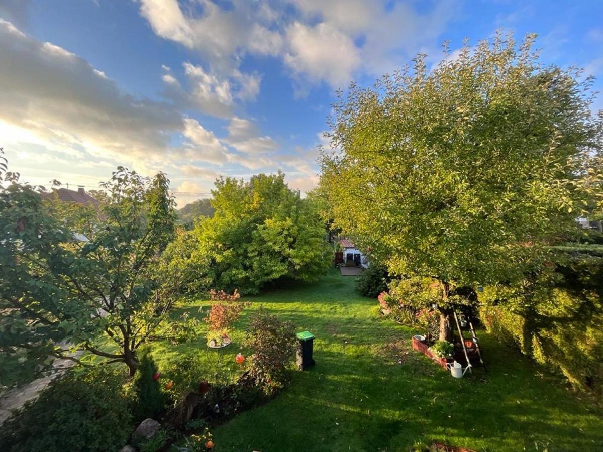 Ferienwohnung Bliestalglueck Oberthal المظهر الخارجي الصورة
