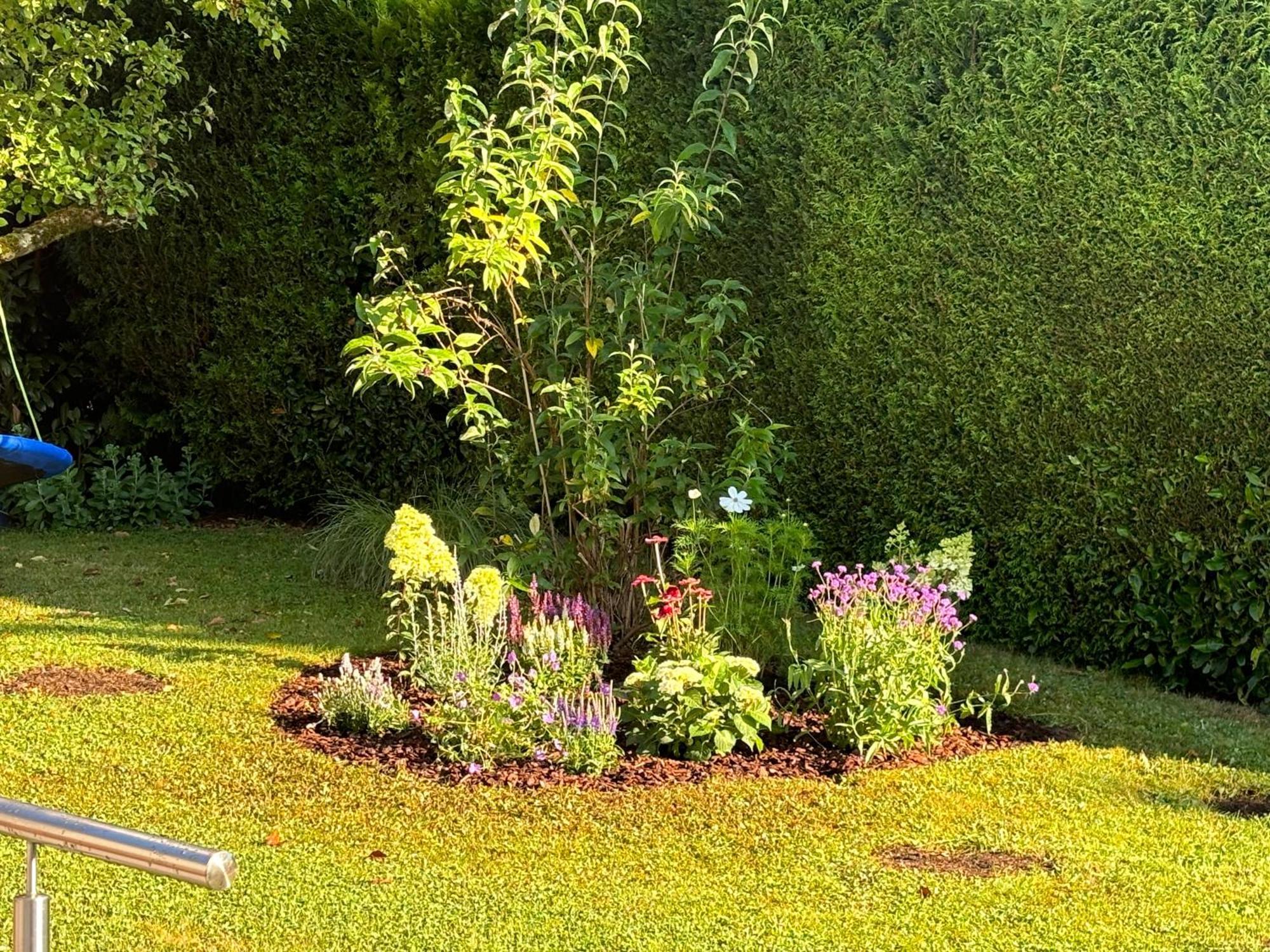 Ferienwohnung Bliestalglueck Oberthal المظهر الخارجي الصورة