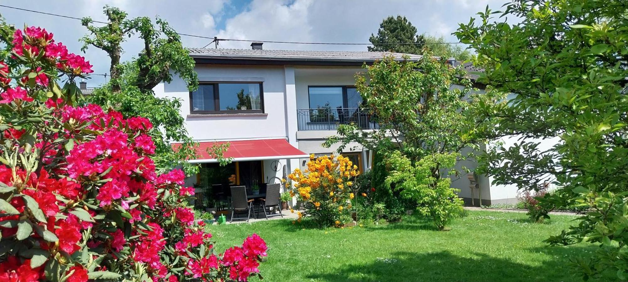 Ferienwohnung Bliestalglueck Oberthal المظهر الخارجي الصورة